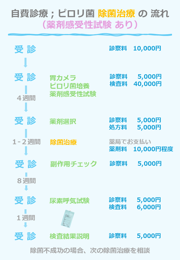 ピロリ菌　除菌治療の流れ（薬剤感受性試験あり）