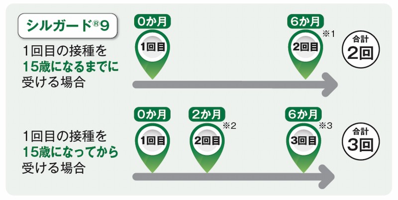 HPVワクチン接種スケジュール